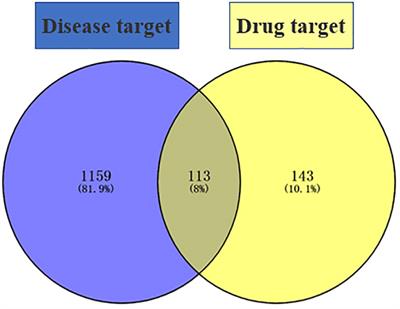 Discussion on the mechanism of Danggui Sini decoction in treating diabetic foot based on network pharmacology and molecular docking and verification of the curative effect by meta-analysis